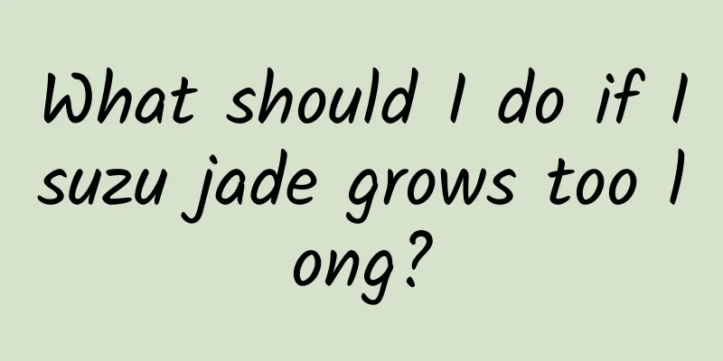 What should I do if Isuzu jade grows too long?