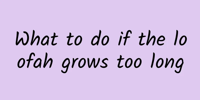 What to do if the loofah grows too long