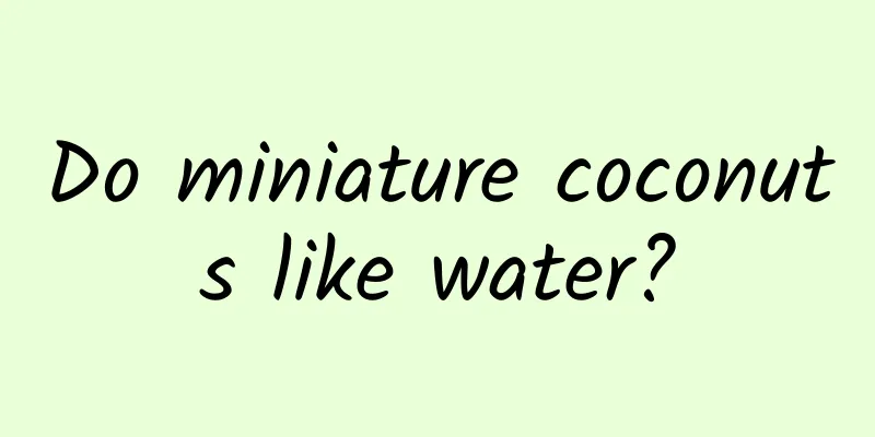 Do miniature coconuts like water?