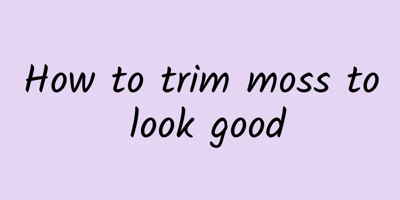 How to trim moss to look good