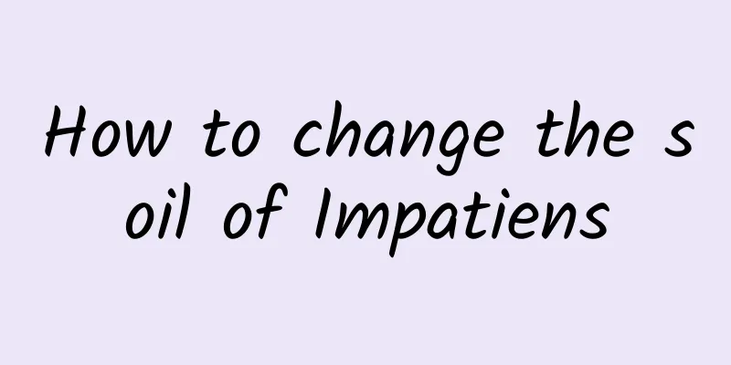 How to change the soil of Impatiens