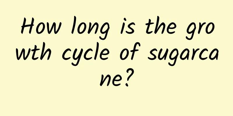 How long is the growth cycle of sugarcane?