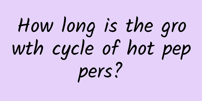How long is the growth cycle of hot peppers?