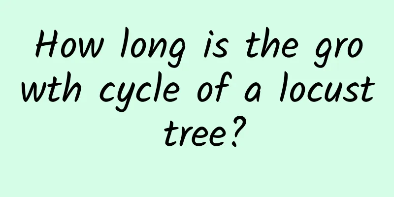 How long is the growth cycle of a locust tree?