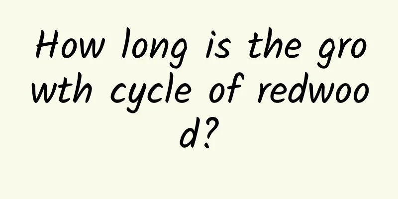 How long is the growth cycle of redwood?