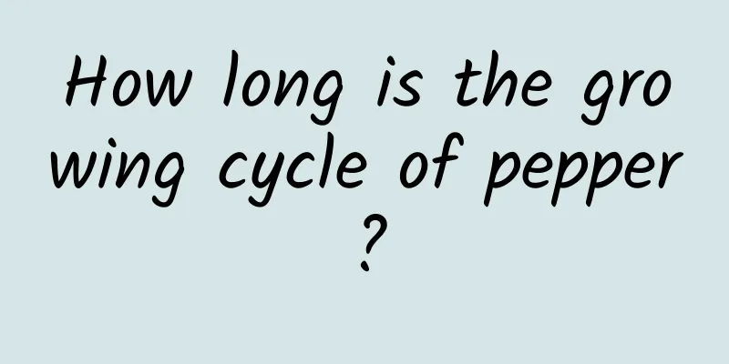 How long is the growing cycle of pepper?