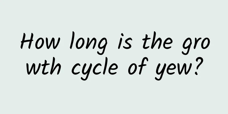 How long is the growth cycle of yew?
