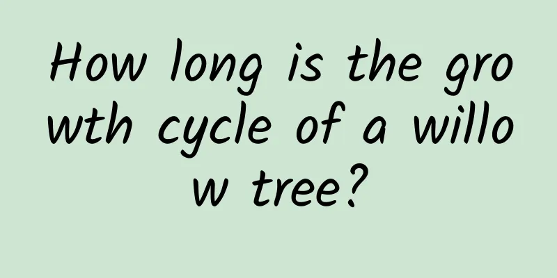 How long is the growth cycle of a willow tree?