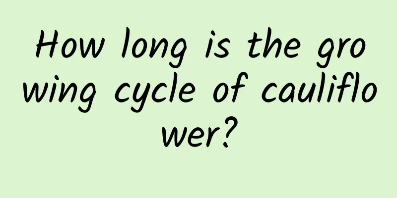 How long is the growing cycle of cauliflower?