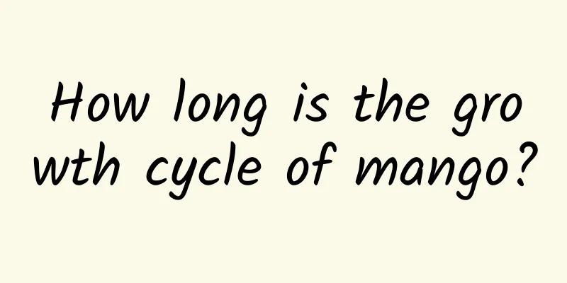 How long is the growth cycle of mango?