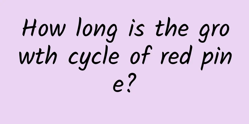 How long is the growth cycle of red pine?