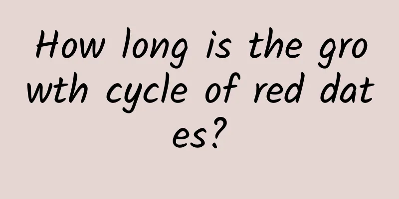 How long is the growth cycle of red dates?