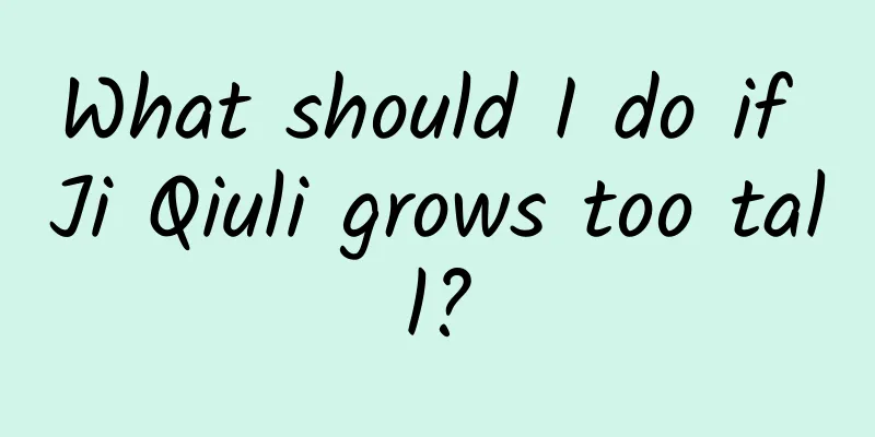 What should I do if Ji Qiuli grows too tall?