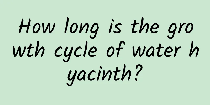 How long is the growth cycle of water hyacinth?