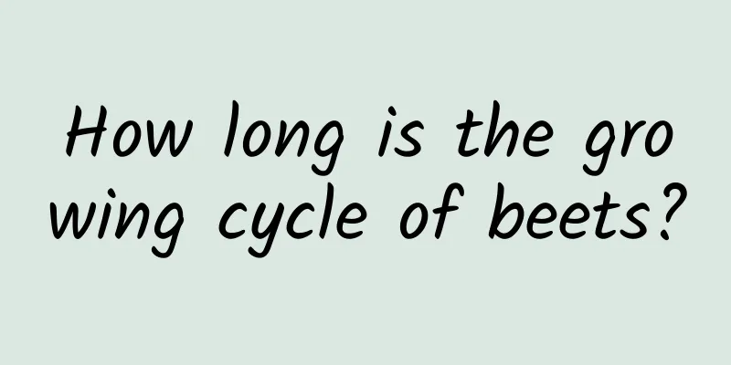 How long is the growing cycle of beets?