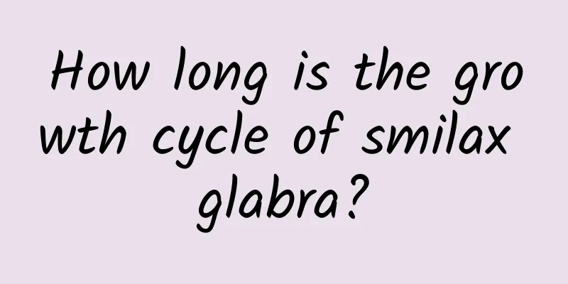 How long is the growth cycle of smilax glabra?
