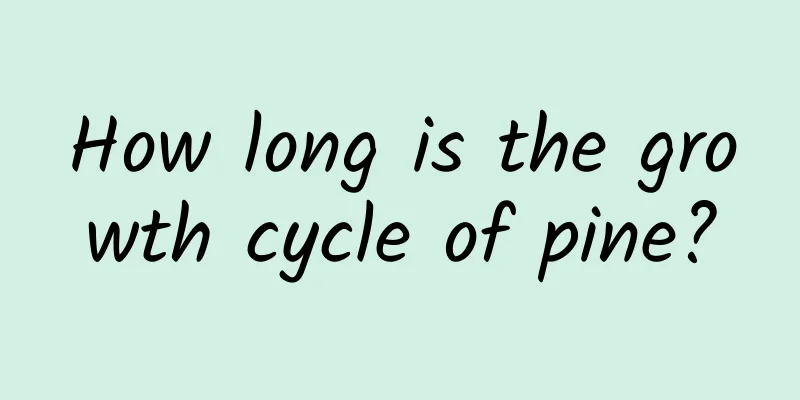 How long is the growth cycle of pine?
