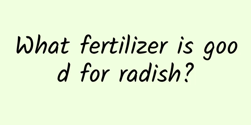 What fertilizer is good for radish?