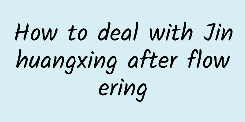 How to deal with Jinhuangxing after flowering