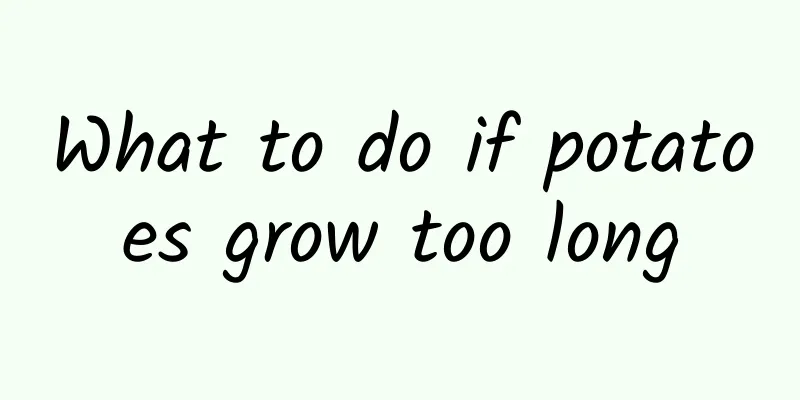 What to do if potatoes grow too long