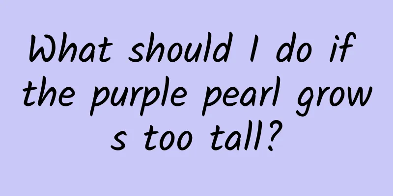 What should I do if the purple pearl grows too tall?