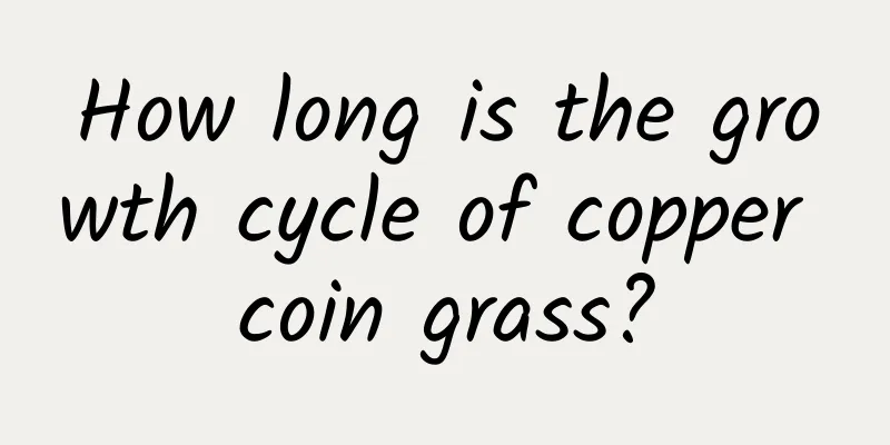 How long is the growth cycle of copper coin grass?