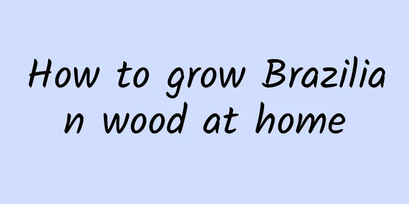 How to grow Brazilian wood at home