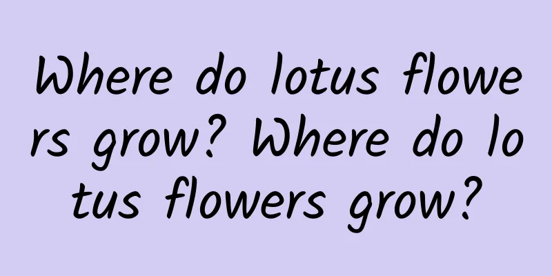Where do lotus flowers grow? Where do lotus flowers grow?