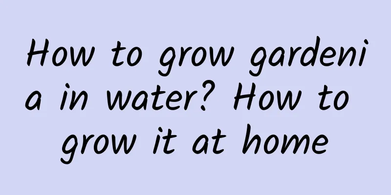 How to grow gardenia in water? How to grow it at home