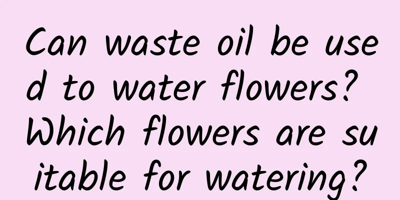 Can waste oil be used to water flowers? Which flowers are suitable for watering?