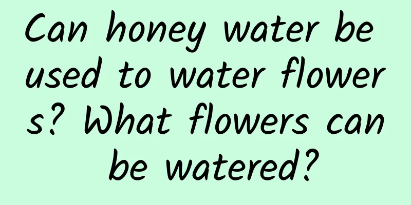 Can honey water be used to water flowers? What flowers can be watered?