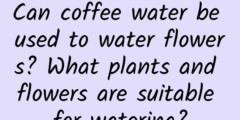 Can coffee water be used to water flowers? What plants and flowers are suitable for watering?