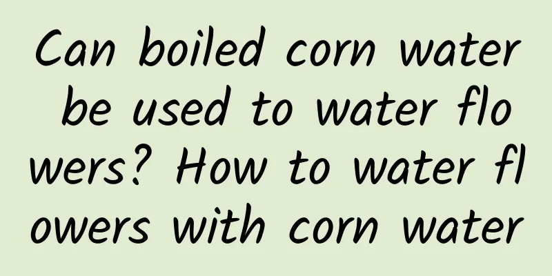 Can boiled corn water be used to water flowers? How to water flowers with corn water