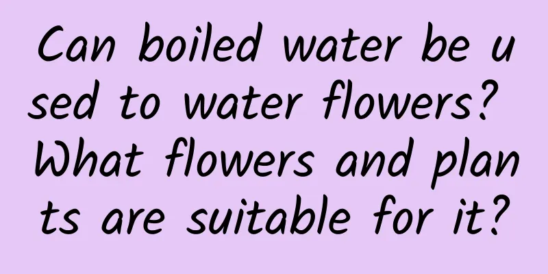 Can boiled water be used to water flowers? What flowers and plants are suitable for it?