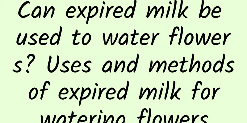 Can expired milk be used to water flowers? Uses and methods of expired milk for watering flowers