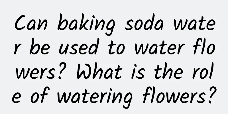 Can baking soda water be used to water flowers? What is the role of watering flowers?