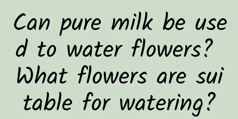 Can pure milk be used to water flowers? What flowers are suitable for watering?