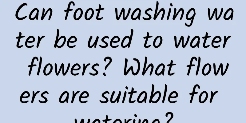 Can foot washing water be used to water flowers? What flowers are suitable for watering?