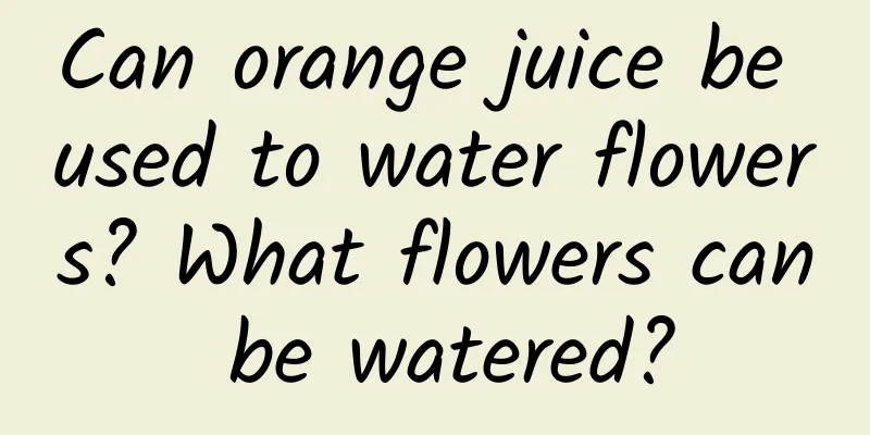 Can orange juice be used to water flowers? What flowers can be watered?
