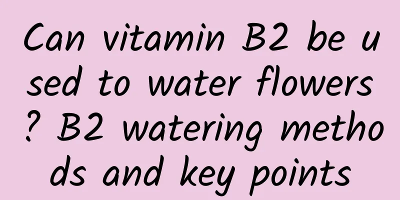 Can vitamin B2 be used to water flowers? B2 watering methods and key points