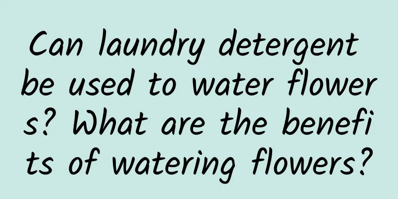 Can laundry detergent be used to water flowers? What are the benefits of watering flowers?