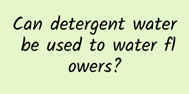 Can detergent water be used to water flowers?
