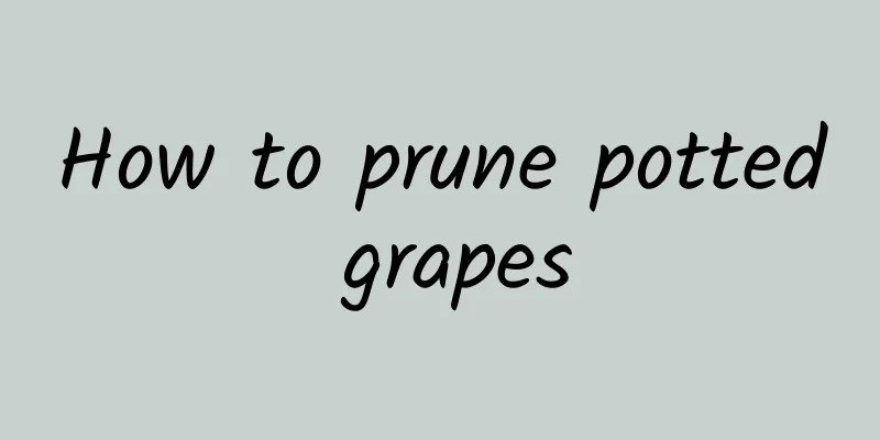 How to prune potted grapes