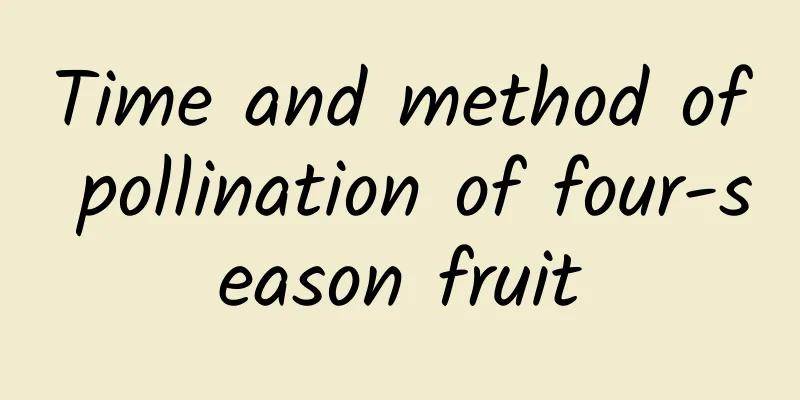 Time and method of pollination of four-season fruit