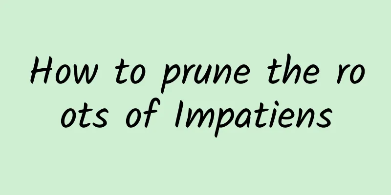 How to prune the roots of Impatiens
