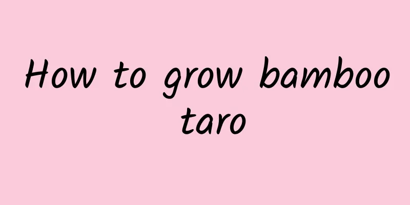 How to grow bamboo taro