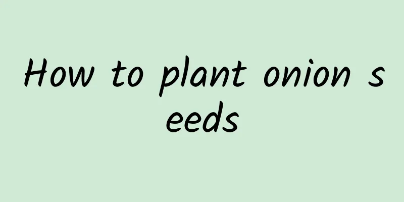 How to plant onion seeds