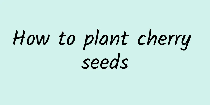 How to plant cherry seeds