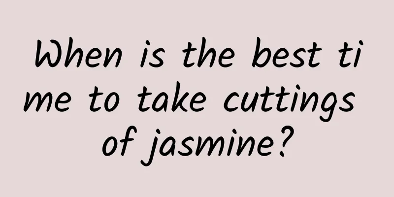 When is the best time to take cuttings of jasmine?
