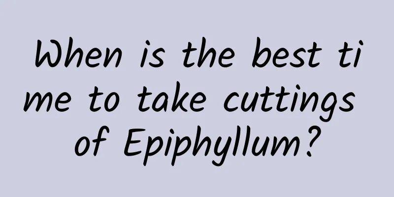 When is the best time to take cuttings of Epiphyllum?